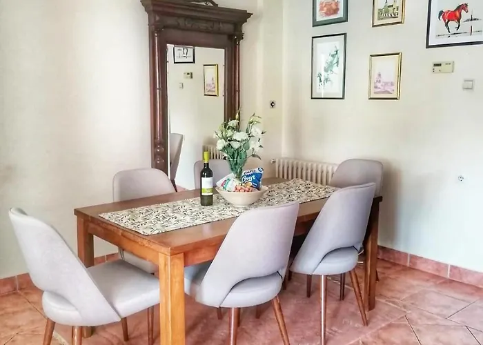 Stunning Danube * Novi Sad