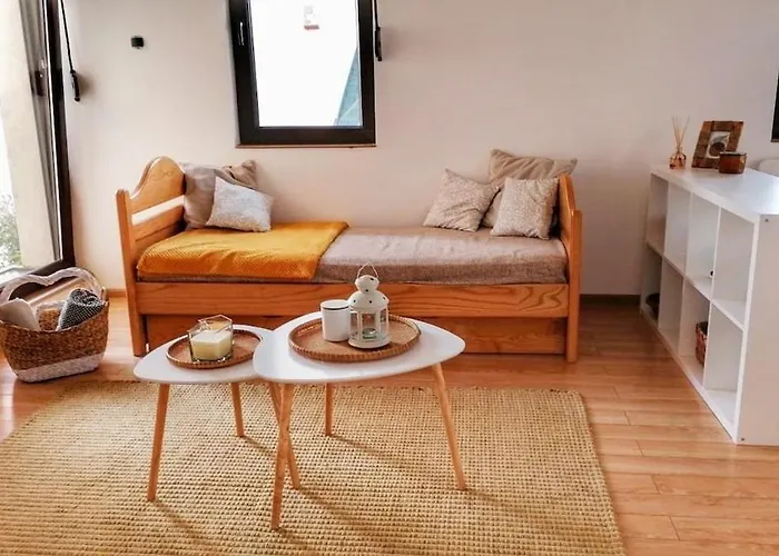 Сasa de vacaciones Stunning Danube Novi Sad